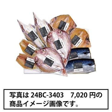 《能登応援》｢逸味潮屋｣能登いしる干し詰合せ(計5枚)【冷凍】