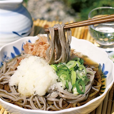 〈福井〉｢武生製麺｣直営農場産越前そば8食【冷蔵】