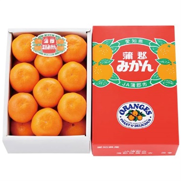 愛知県産 蒲郡温室みかん【冷蔵】