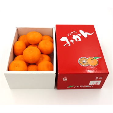 徳島県産 ハウスみかん【冷蔵】
