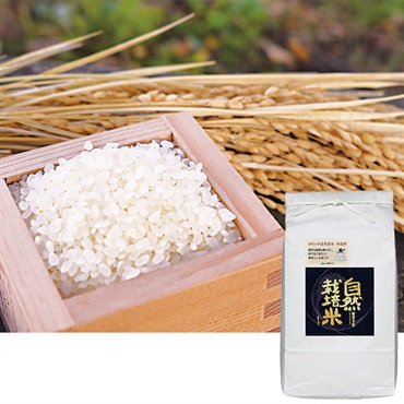 《能登応援》｢JAはくい｣食味最高Sランク 能登はくい自然栽培米コシヒカリ白米5kg