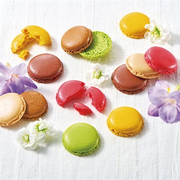 ｢ダロワイヨ｣マカロンラスク（30枚入）