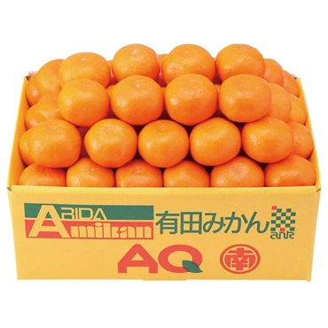 和歌山県産 みかん