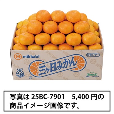 静岡県産 三ケ日みかん