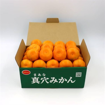 愛媛県産 真穴みかん
