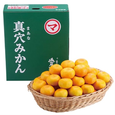 愛媛県産 真穴のみかん