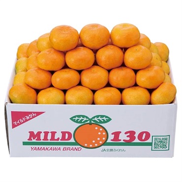 福岡県産 山川マイルドみかん