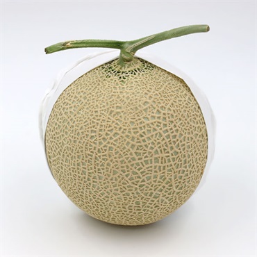 静岡県産 マスクメロン