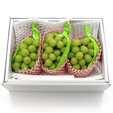 貯蔵シャインマスカット【冷蔵】