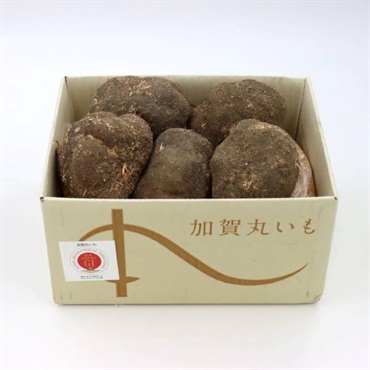 加賀の丸いも