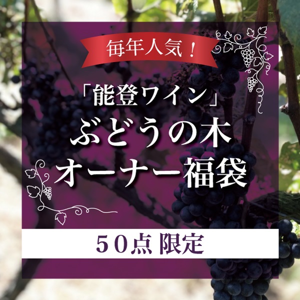 2025年福袋「能登ワイン」ぶどうの木 オーナー福袋【50点限定】【2025年1月下旬、順次ご案内を郵送】