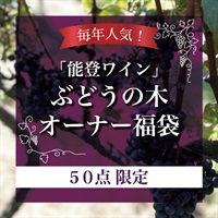 2025年福袋「能登ワイン」ぶどうの木 オーナー福袋【50点限定】【2025年1月下旬、順次ご案内を郵送】