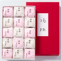 ｢柴舟小出｣福梅(15個)【おまとめ便対象】※2026/1/10(土)が最終出荷の予定となります。