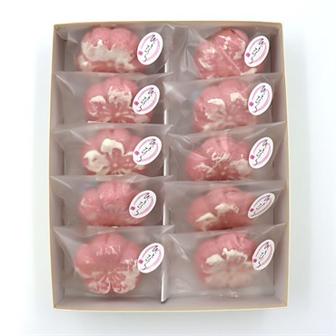 「越山甘清堂」ひとひら10個入【最終発送は3月31日まで】【おまとめ便対象】