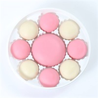 「御朱印」紅白御朱印 チョコレート饅頭【冷蔵】