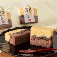 《能登応援》「越山甘清堂」能登大納言かすていら(5個入)【おまとめ便対象】